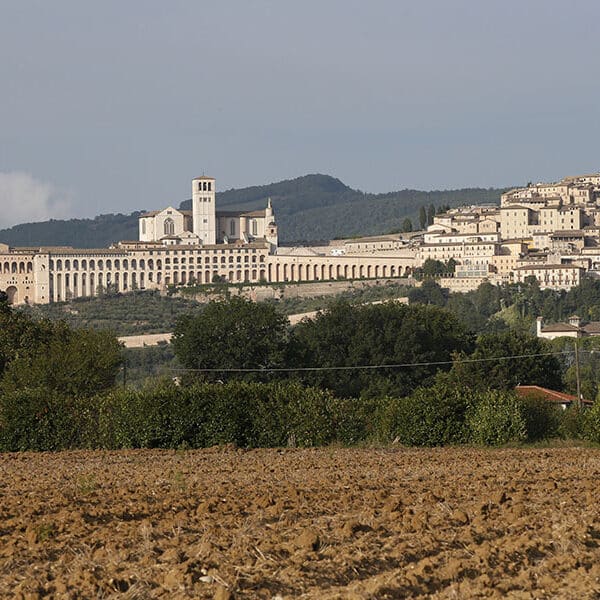 Pope Leo XIV expected to visit Assisi during Year of St. Francis, archbishop says