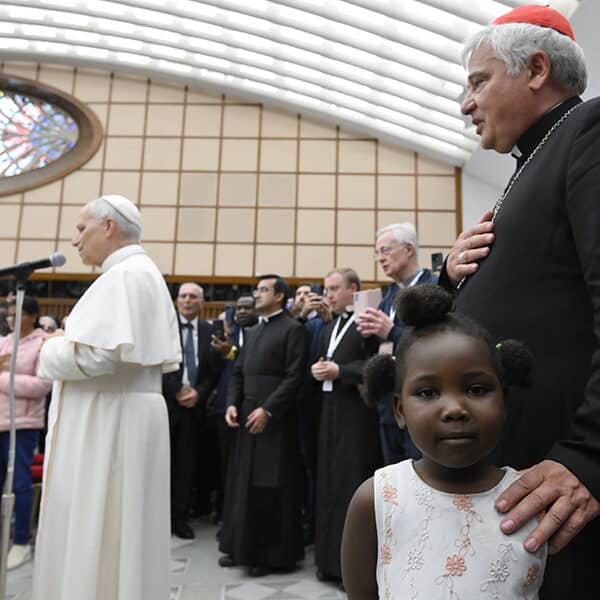 Vatican aid a sign of Pope Leo’s closeness to suffering Ukrainians, papal almoner says