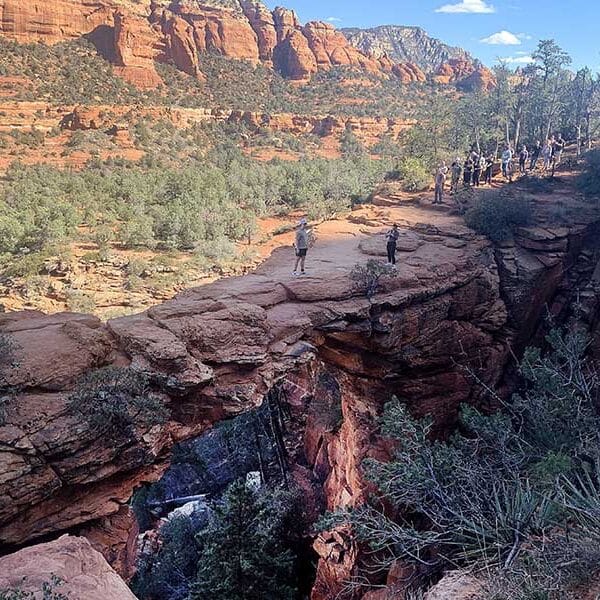 Caring for creation this Lent