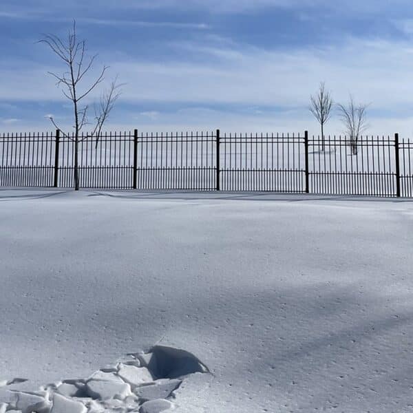 Dear Fans of Winter…