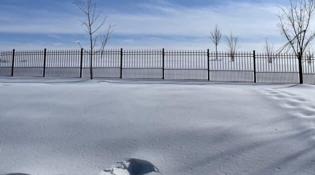 A snowy field with a fence under a blue sky