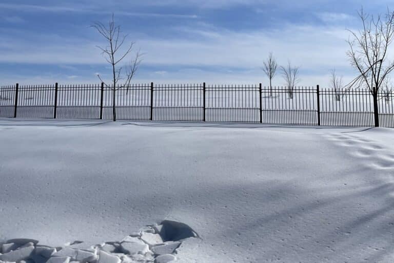 A snowy field with a fence under a blue sky