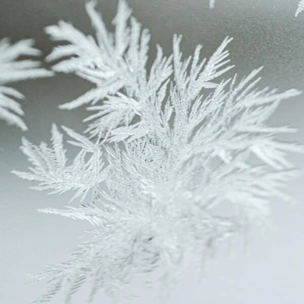 Archbishop Lori cancels Rite of Election liturgies in anticipation of winter storm