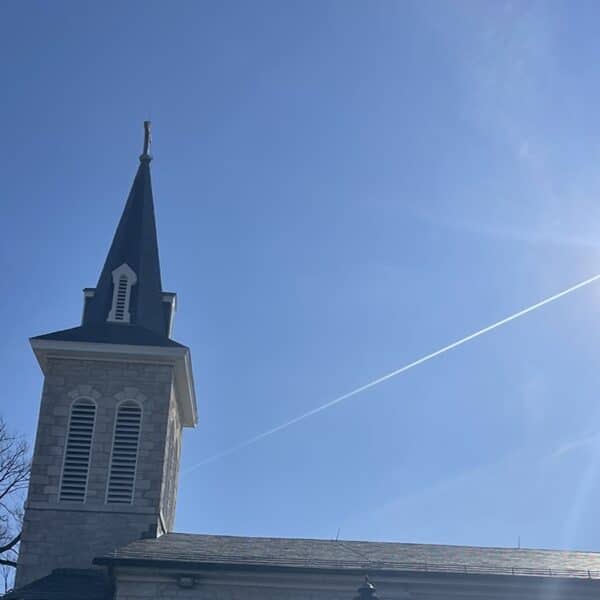 What I have done and what I have failed to do