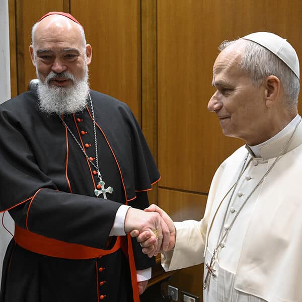 Pope Leo XIV meets with evacuated Tehran cardinal as U.S.-Israeli strikes on Iran continue