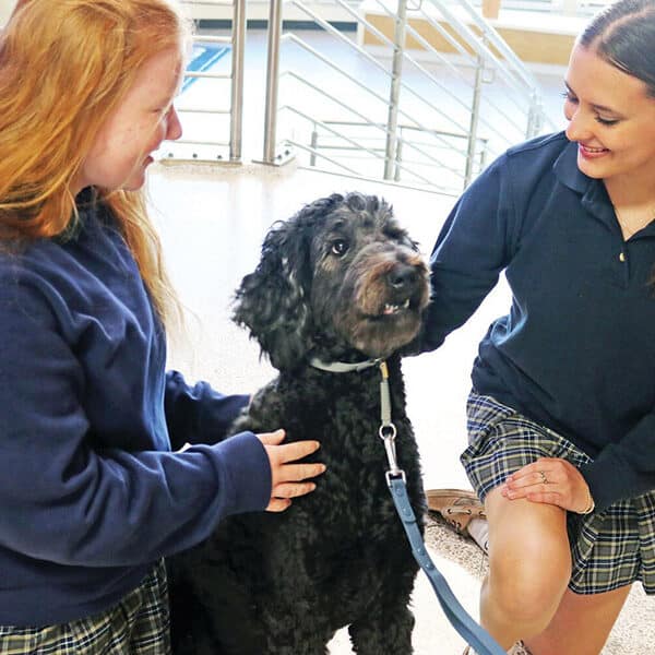 Lovable therapy dog brings serenity, fun to Catholic school every day, one tail wag at a time