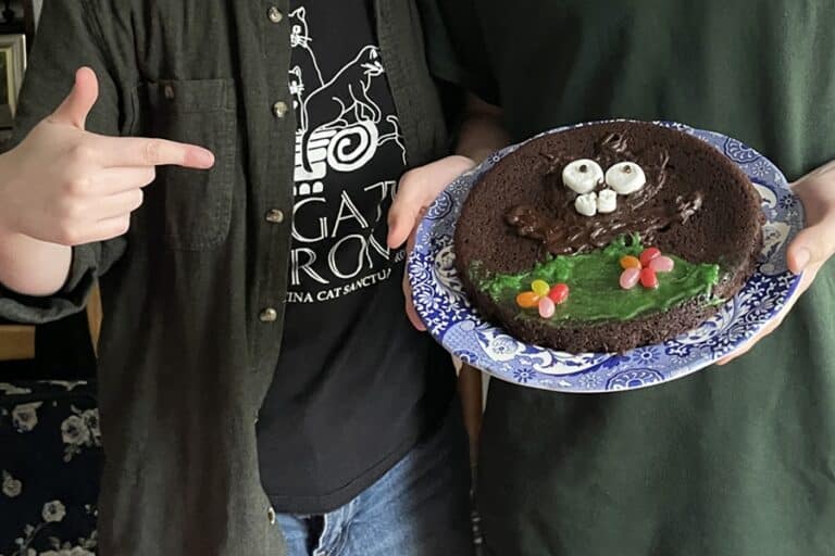 Hand pointing toward a groundhog cake