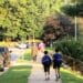 Two boys with backpacks walk on a sidewalk to school