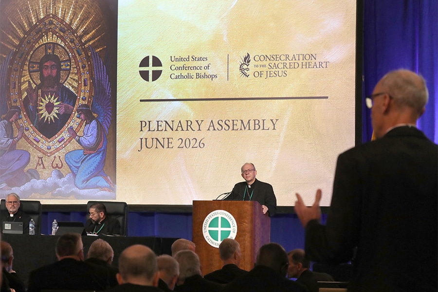 US bishops approve updates to landmark child protection policies
