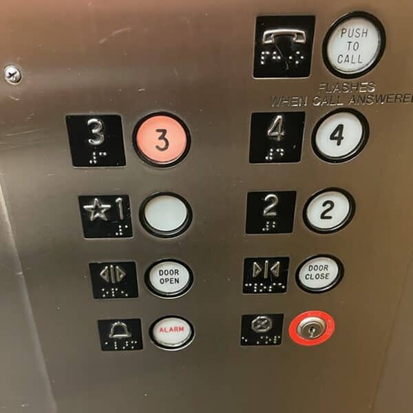 A Wasp on the Elevator