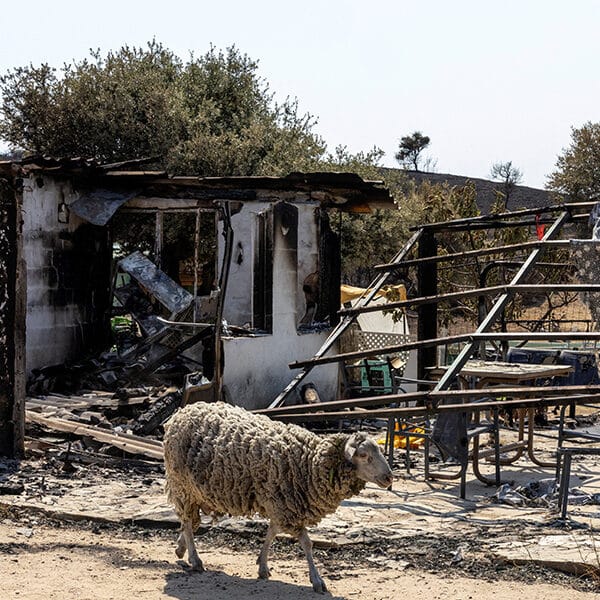 Wildfires in Spain force Augustinian nuns to evacuate monastery