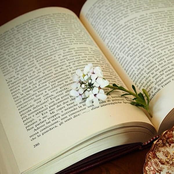 The Summer Reading List: 2026