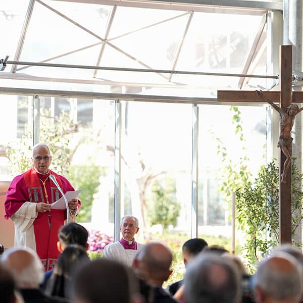 Conversion of heart needed to end wars, heal Earth, pope says
