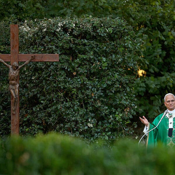 Vatican theological commission defines ‘sin against creation and the Creator’ in new document