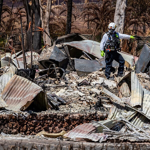 Catholic Charities agencies spend summer responding to floods, tornadoes, wildfires and a typhoon
