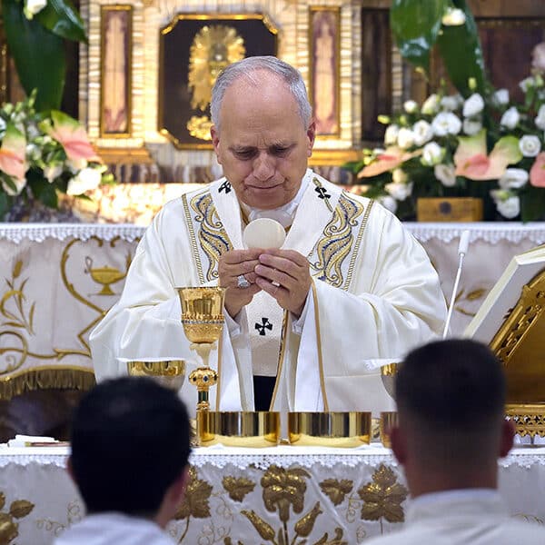 Pope Leo XIV asks Our Lady of Good Counsel for aid to make ‘courageous and wise decisions’