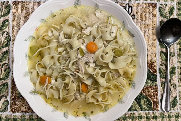 Bowl of chicken noodle soup