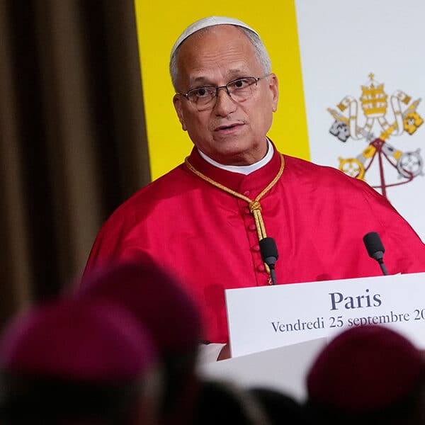 Pope’s words in France are encouragement to not give up the fight against ‘deadly laws’