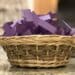A basket of purple slips of paper sits on a counter